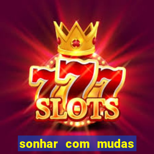 sonhar com mudas de plantas